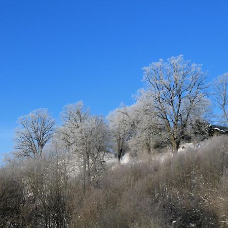 Belvedere Appart & Chalet - Ihr Zuhause Auf Zeit Am Edersee - Ihr Geschenk Die Gaestecard Grimmheimat Waldeck  Zewnętrze zdjęcie